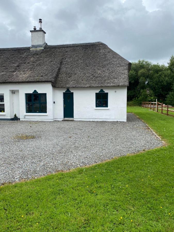 Bracken Ferns Killarney Exterior foto